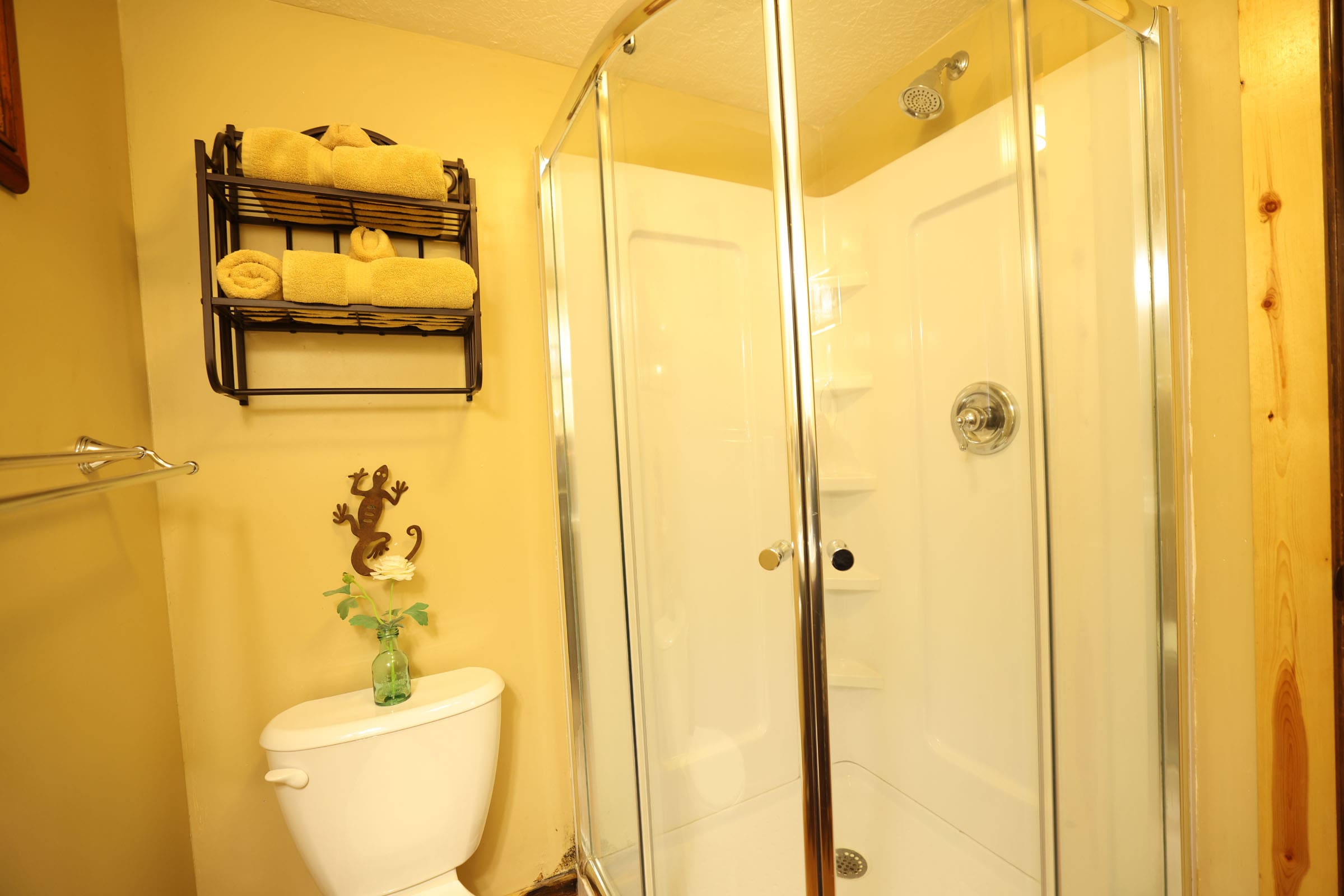 A bathroom with a toilet and shower stall.