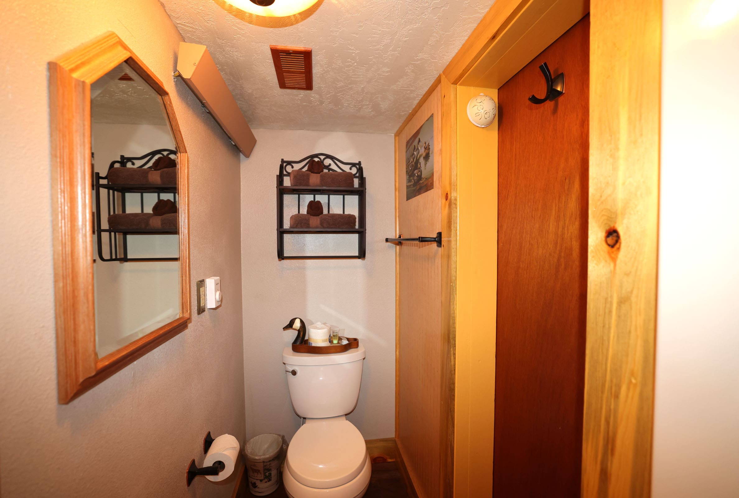 A bathroom with a toilet and mirror in it