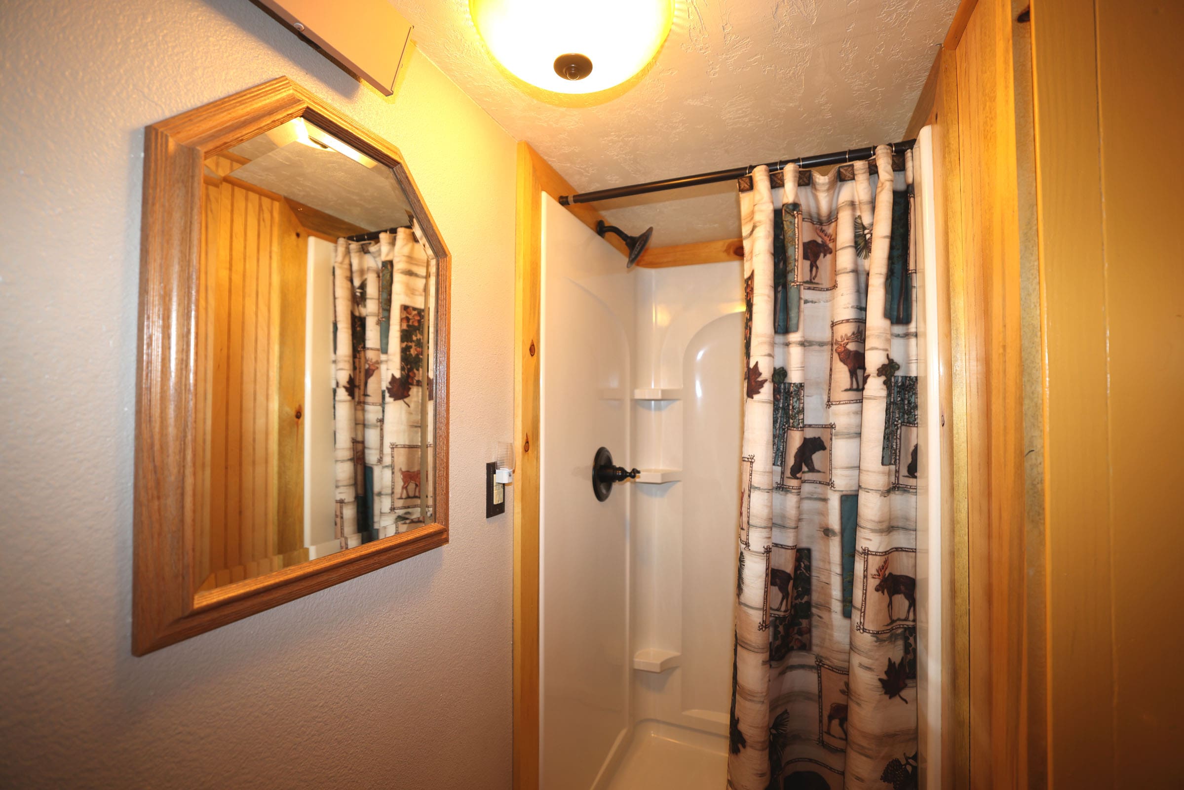 A bathroom with a shower and mirror in it